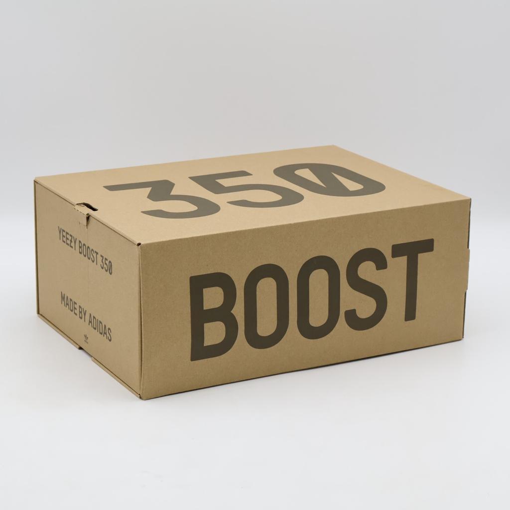 FW5191 Adidas Yeezy Boost 350 V2 Yeezreel Non-Reflective Light Green (Men's)