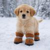 4 pcs/set Warm Dog Cotton Shoes Anti-Scratch Winter Dog Boots Puppy Booties Puppy Footwear  Walking