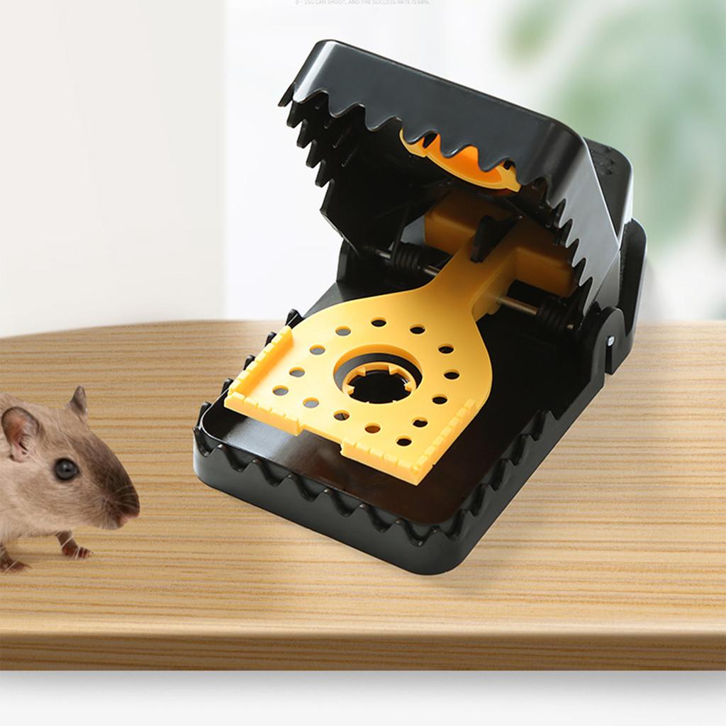 Pièges à souris Seau Pièges à souris Pièges à rats rongeurs Pour la maison Rongeurs Piège à souris