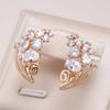Fashion Natural Zircon Earrings Women  Rose Gold Color Banquet Symmetry Flower Earrings Statement Jewelry Crystal Gift
