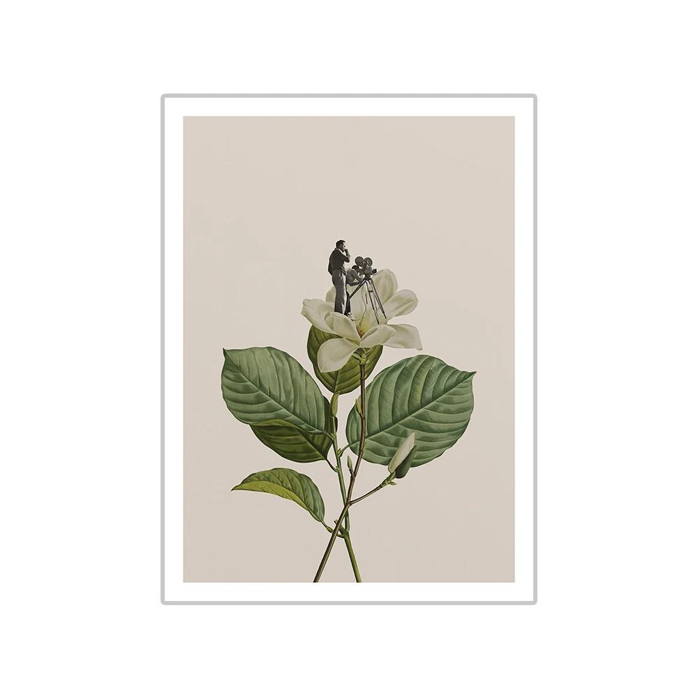 

Ботанические винтажные велосипедные ключевые постеры и принты, настенная живопись на холсте, настенная картина для спальни, гостиной, домашний декор, фреска 21x30cm No Framed