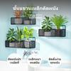 2Tier Wall Mounted Storage Rack, Iron botanical NoDrill, Balcony Organizer for