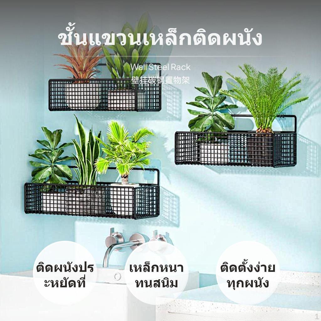 2Tier Wall Mounted Storage Rack, Iron botanical NoDrill, Balcony Organizer for