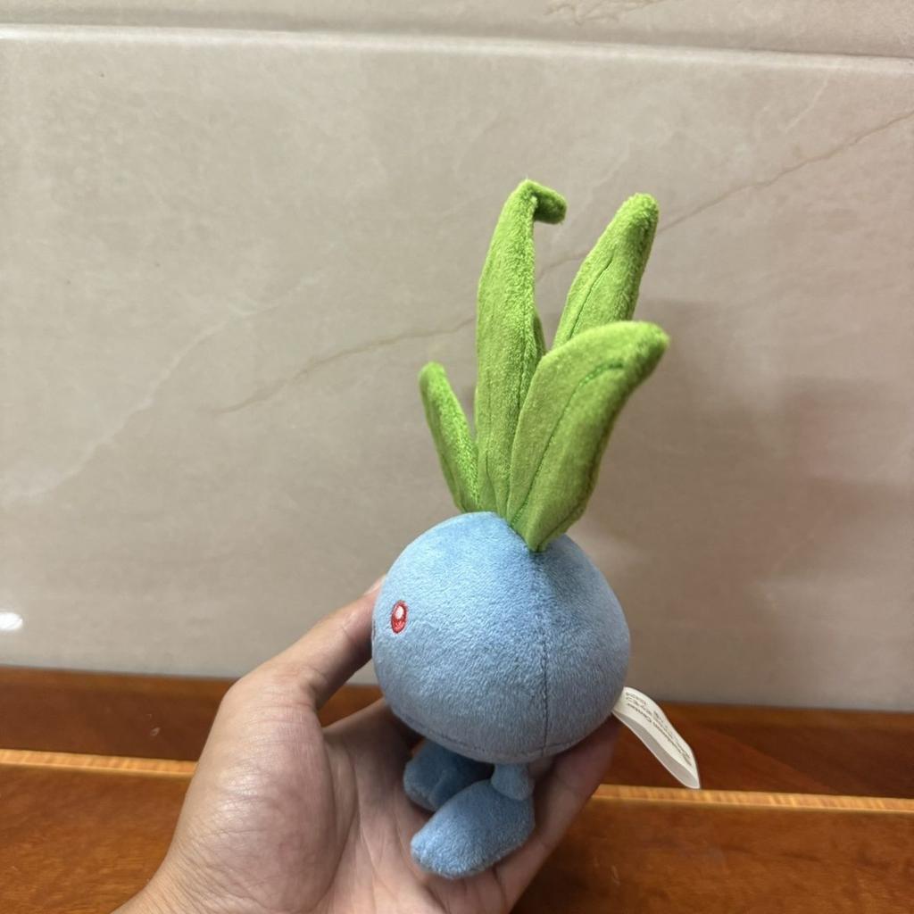 13Cm Walking Grass Sounding Plush Toy Doll Squeezing Toy Pet Stuffed Plush Starfish Body Printed Keychain Send Friends Gift Xams