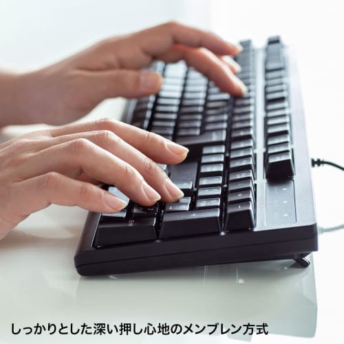 Sanwa Supply Keyboard, Wired USB Connection, Antibacterial, Waterproof, Dustproof Type, Japanese 109 Keys, Black SKB-BS6BK