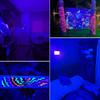 LED Stage Floodlight BLue Light Spotlight LED UV Lamps 395nm 400nm USB 5V Disco Lights IP65 Waterproof Creat Party Atmosphere DJ