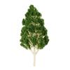 Yetaha Model Trees, 5-Pack, for Potted Plants, Railway Models, Poplar Models, Beige Tree Trunks, Diorama Decoration, Miniature Gardens, Mixed Sizes