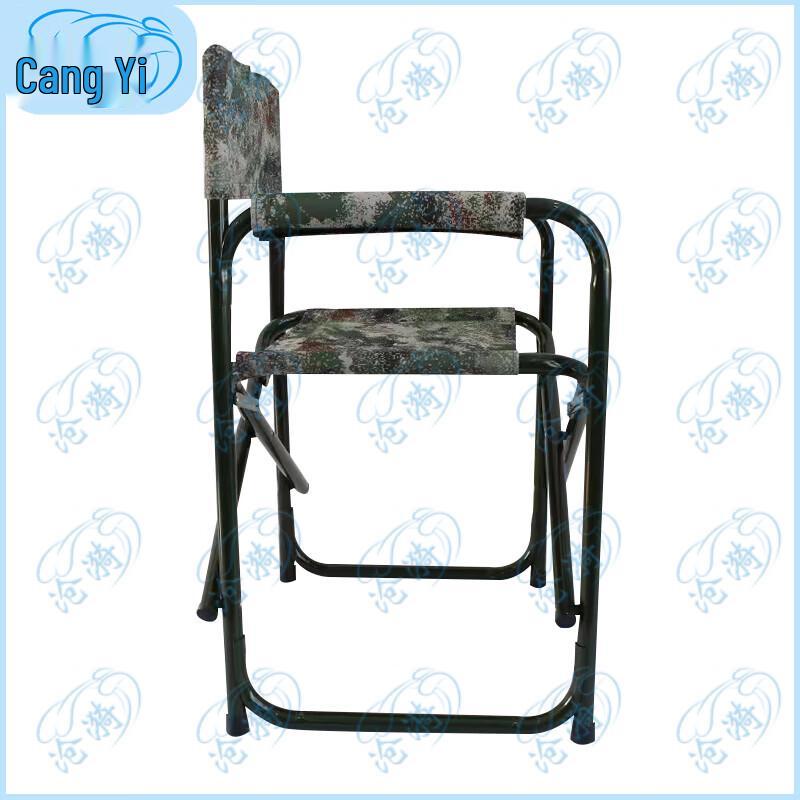 Portable Outdoor Folding Director Chair