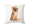 45x45cm Cute Cat Cushion Cover Polyester Throw Pillow For Bed Living Room Sofa Office Seat Car Kids  Decor Home