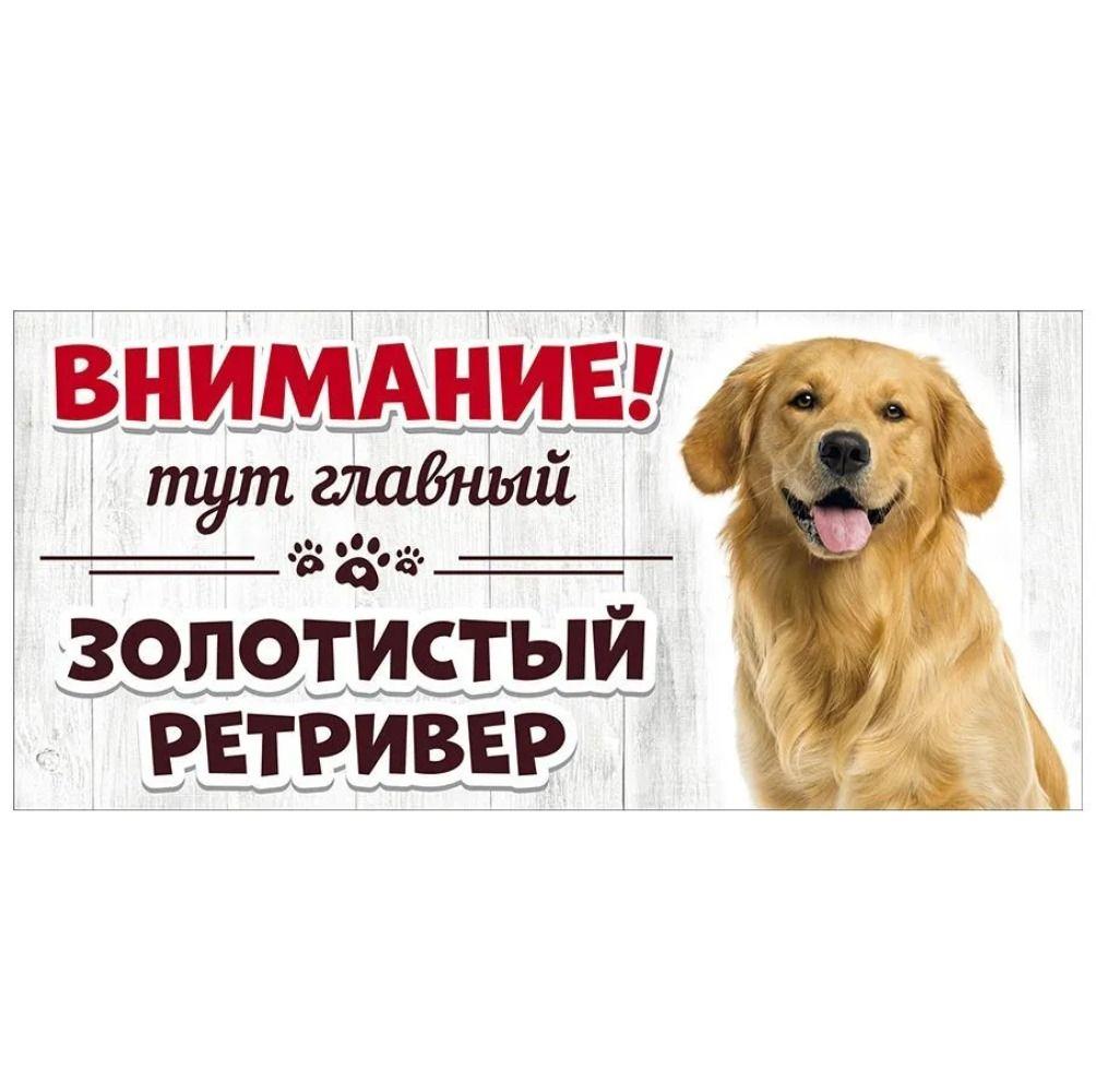 Evil Pomeranian Spitz Sign, Metal Fence Door Plaque 30x15cm