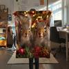 Two Squirrels,pattern Flannel Blanket, High quality Comfortable for All Seasons, Home Decor, Warmth and Comfort, Perfect for Gifts.