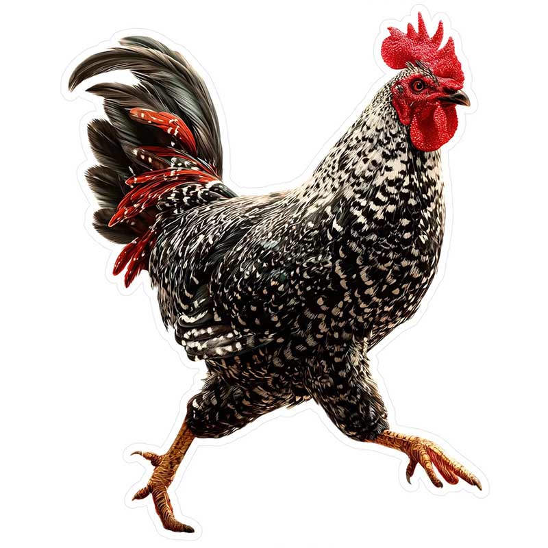 

Rooster Vinyl Decal Farmhouse Decor Car Sticker Waterproof Outdoor Car Bumper Window Notebook Computer Decoration Decals SH1219 H-15cm Longest Side