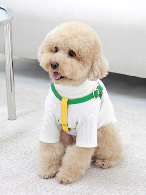 MAISON DE MIU Harnais Running Mate Vert/Jaune