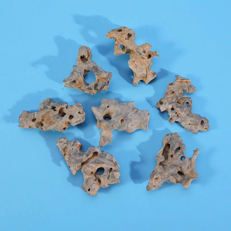 1 Stück 4-6cm Natürlicher Aquariendekor Stein Felsengarten Landschaftsgestaltung Fischbecken Mikroporöser Stein Gut für Pflanzenwachstum