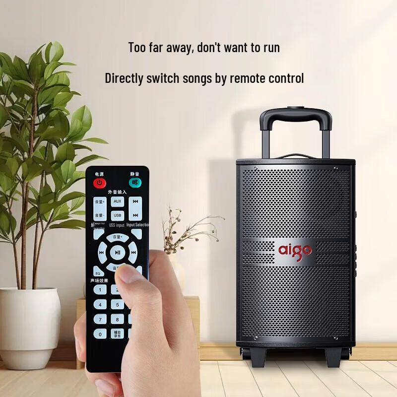 aigo S308 8-inch Portable Bluetooth Karaoke Speaker CN plug (adapter included)