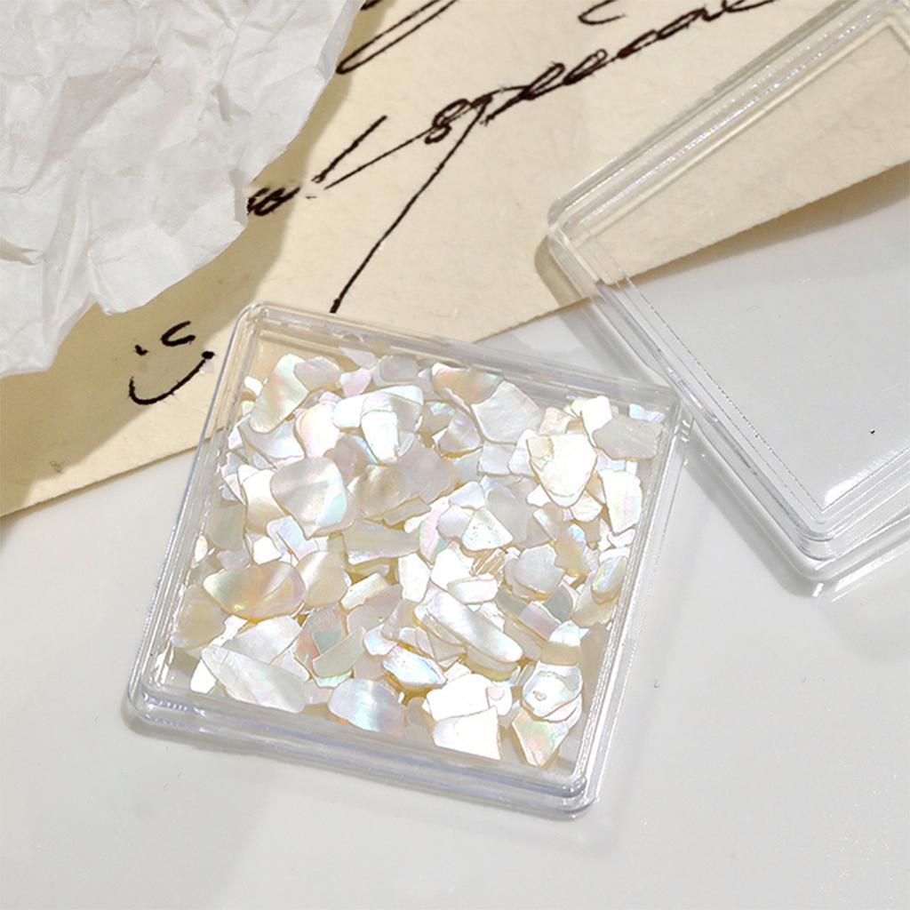 1 Dose Aurora Muschelflocken Abalone Nägel Charme Dünne Natürliche Unregelmäßige Scheibe Muschelstein Pailletten Maniküre Kunst Dekoration Salon DIY