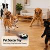 Cães – Brinquedos para cães