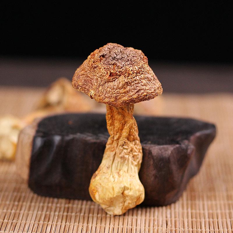 Yunnan Dried Maitake and Matsutake Edible Mushrooms