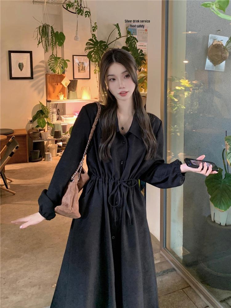 2026 Spring French Minimalist A-Line Long Sleeve Waist-Cinching Dress - Women's Elegant Slimming Design
