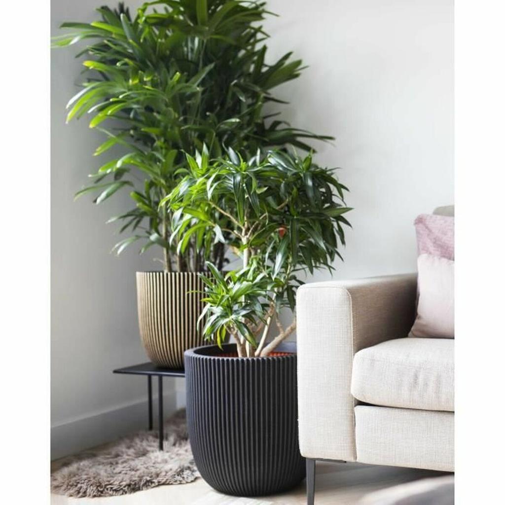 Planter Capi Europe Black Plastic Ø 43 Cm