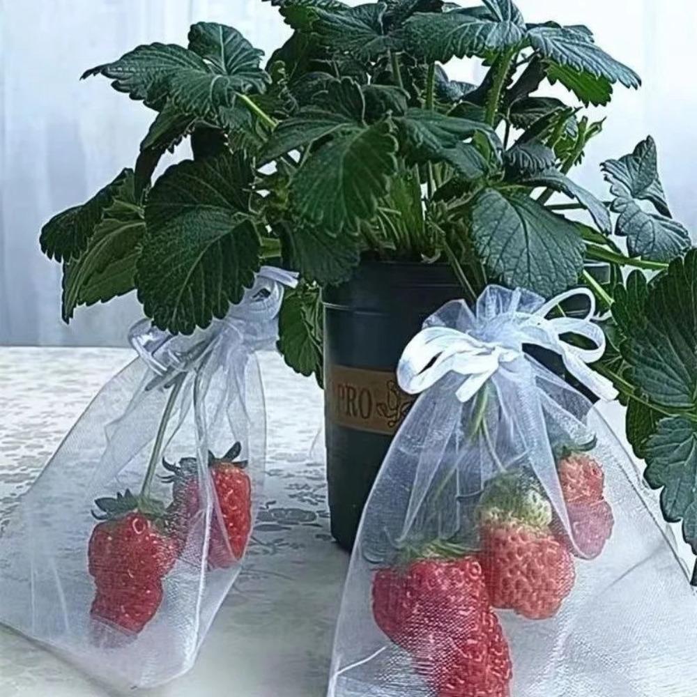 100pcs Breathable Grapes Fruit Grow Bags White Grape Protection Cover Plant Grow Bag  Garden Tools