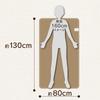 Denkyosha Zepeel Electric Blanket Champagne DM-Y10FSM-CN