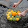 Outdoor Portable Foldable Bucket Transparent PVC Round Bucket Large Capacity Travel Camping Water Storage Bucket Fishing Tank