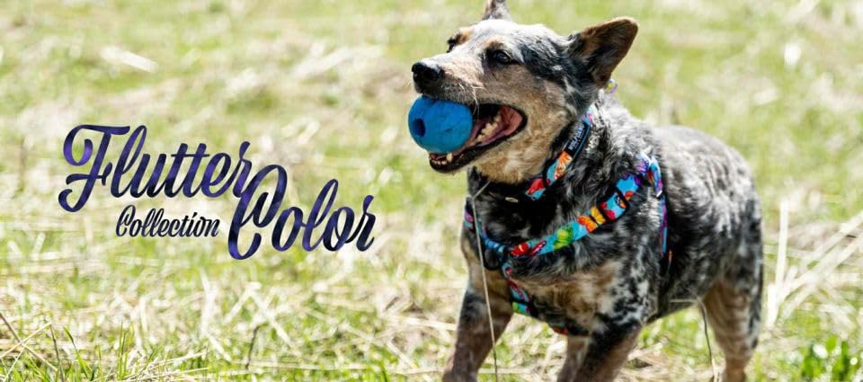 WOLFGANG FlutterColor Harness (M size) 1.6cm wide x 40-61cm chest circumference [Harness for medium-sized dogs]