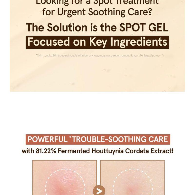 ONE THING - Heartleaf Clear Spot Gel