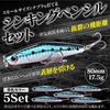 CONTYU Sea Bass Lure Sinking Small Lure for Flounder and Bluefish Set of Hollow 80mm Set, Pencil, 80mm, 17.5g, (5-Piece Sardines, / 17.5g)
