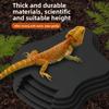 New Plastic Turtle Water Basin Double-sided Use Stepped Design Frog Bathing Basin Multi-size Pet Food Bowl Reptile Habitat