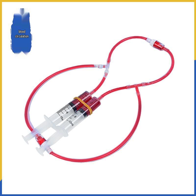 STEAM DIY Blood Circulation Science Kit for Primary Students