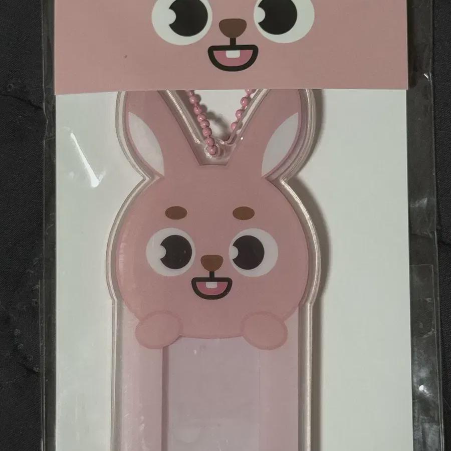 Day6 Acrylic Id Wonpil