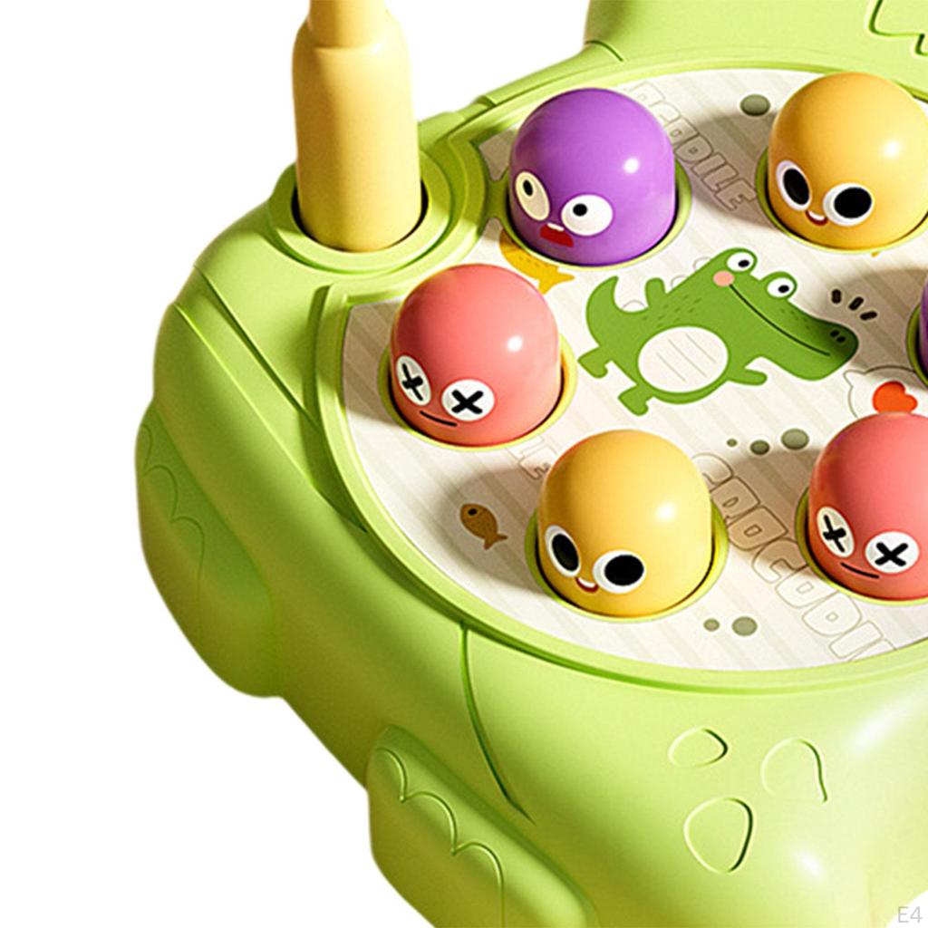 Hamster, Educational Toys, Fine Workmanship, Hit Hamsters