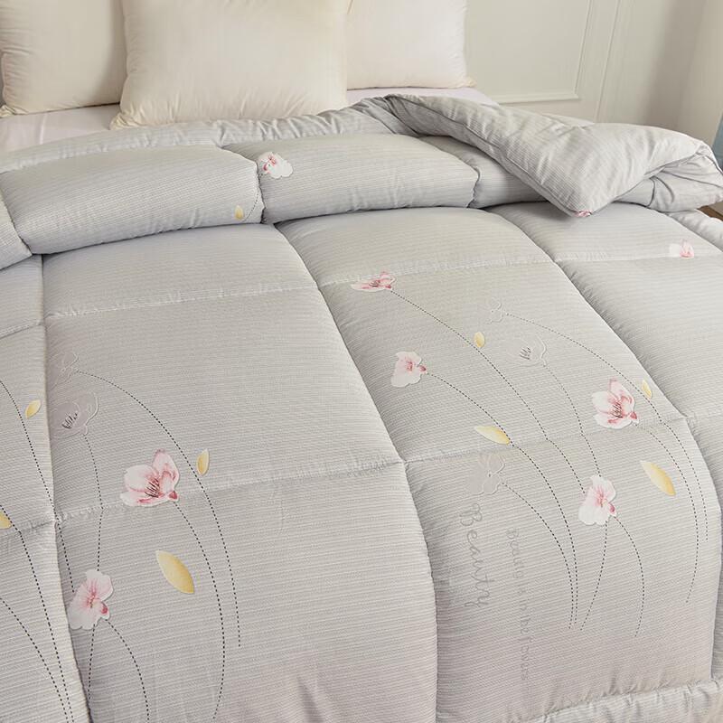 Deze Zhenya Eco-Warm Winter Quilt
