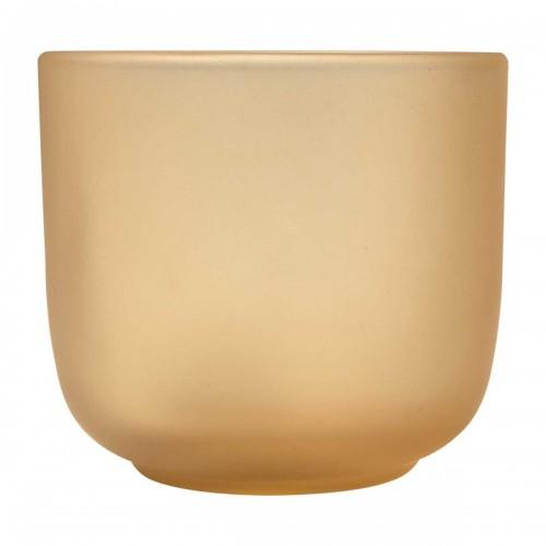 Seasons Borosilicate Glass 200ml Cup (Pack of 2)