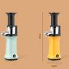 Slow Masticating Juicer Easy To Clean Large Feed Slot for Sport Travel Orange
