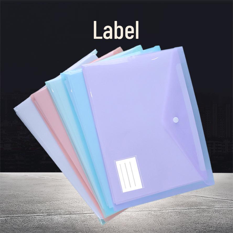 

Прозрачная папка-конверт А4 с мультяшным рисунком на кнопке и местом для хранения этикетки Pack of 3