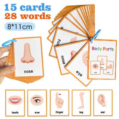 Montessori Kids English Words Learning Flashcards Early Educational Cards Classroom Supplies Kindergarten Teacher Teaching Aids