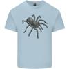 A Tarantula Spider Unisexs Light Cotton TShirt