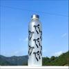 1L Butterfly Style Water Bottle, Gradient Matte Plastic Sports Flask, Anti-Slip Leak-Proof Gym Thermos with Stainless Steel Lid