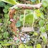 Miniature Fairy Garden Swing, Flower Tree, Figurine, Model For Micro Landscape, Courtyard Garden, Outdoor Display Decor
