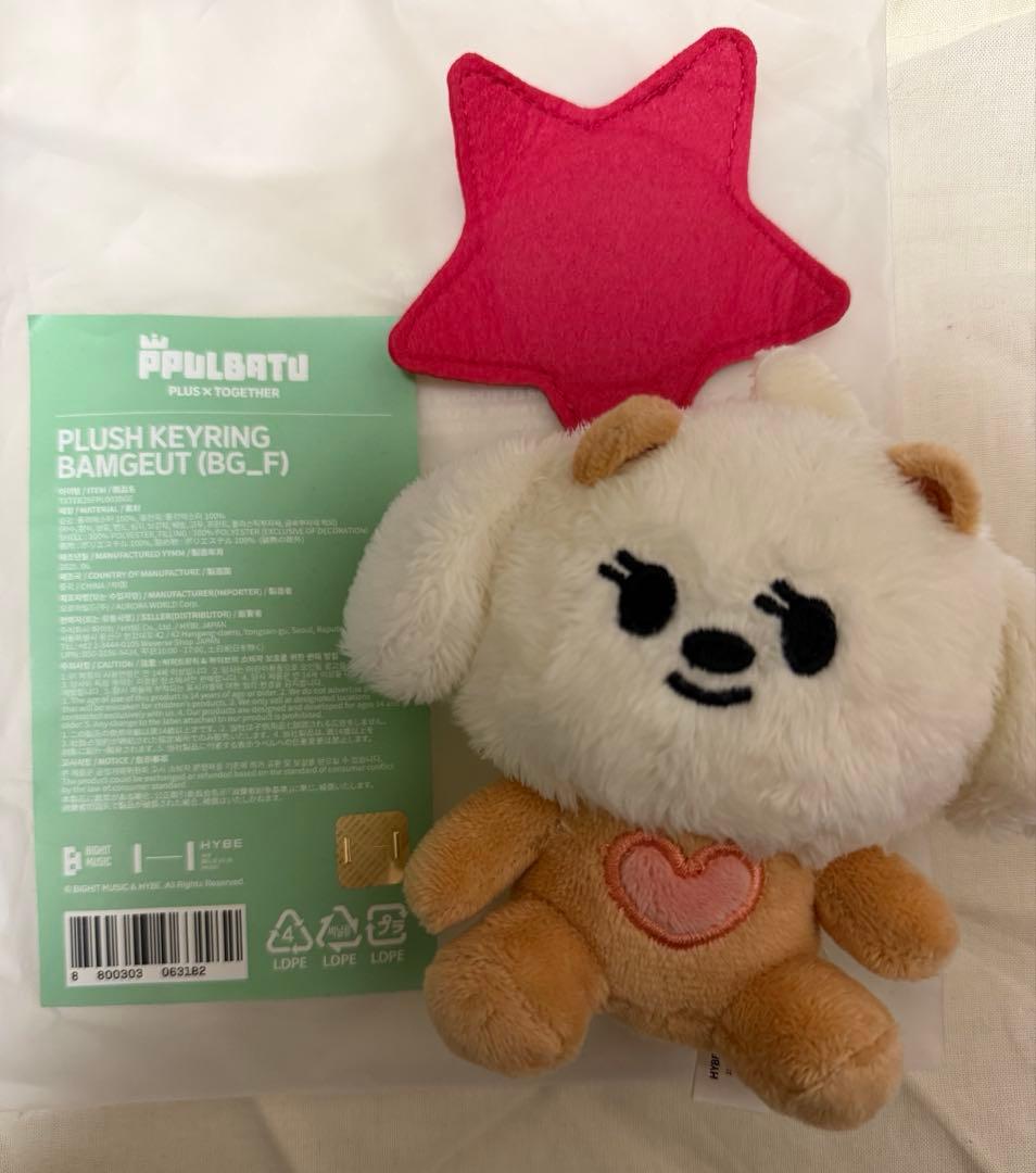 [USED] TXT Plush Keyring Bamguet