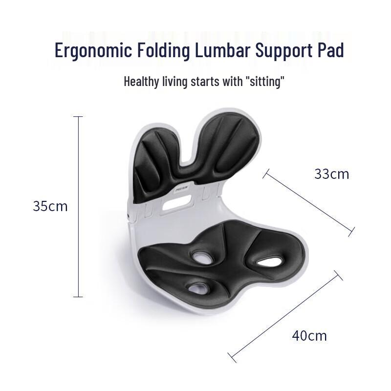 Ergonomic Lumbar Support and Seat Cushion