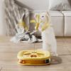 Interactive Cat Puzzle Toy Maze Game Kitten Turntable Track Roller Balls Toys With Feather Pets Self Entertainment Training Toy