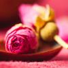 Organic Rose Tea 100g Pingyin Dried Flowers Dry Brew Herbal Wellness