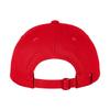 FLEXFIT 110 Snapback Cap