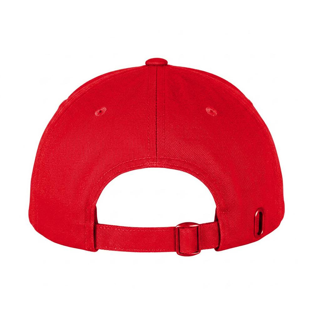 FLEXFIT 110 Snapback Cap