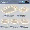 Modern Minimalist Ceiling Light Package with Smart Home Integration for Whole House