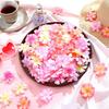 32Pcs/Pack 5cm Pink Silk Artificial Cherry Blossom Flowers Heads for Home Room Decoration Wedding Party Decoration Fake Flowers